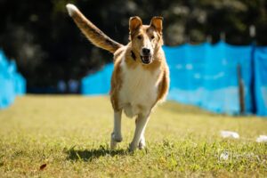 IMG_1362