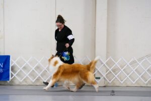 IMG_1378